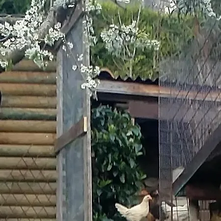 Πανσιόν San Giovanni Ad Insulam
