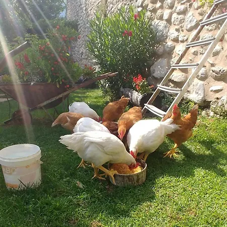 San Giovanni Ad Insulam Vendégház Isola del Gran Sasso dʼItalia