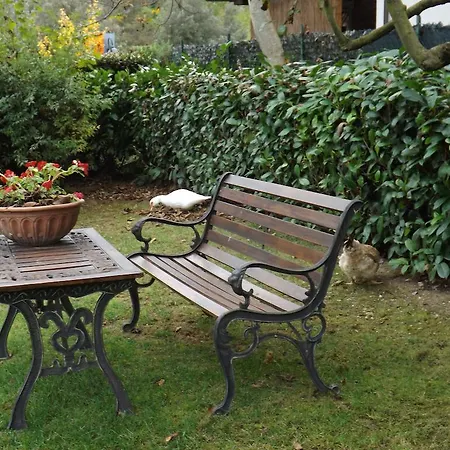 Gasthuis San Giovanni Ad Insulam 3*