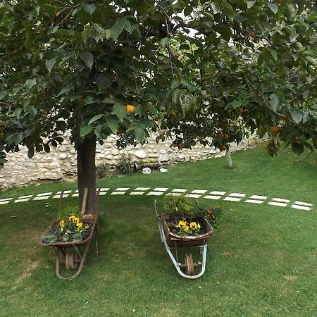 Guest house San Giovanni Ad Insulam