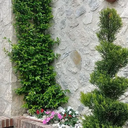 San Giovanni Ad Insulam Pensionat 3*