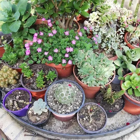 San Giovanni Ad Insulam 3* Isola del Gran Sasso dʼItalia