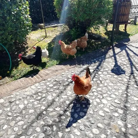 San Giovanni Ad Insulam