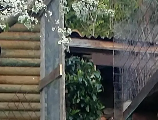 Pensionat San Giovanni Ad Insulam