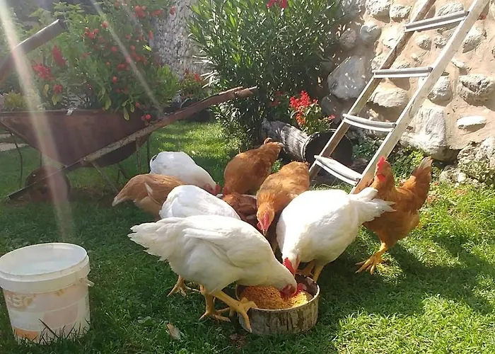 San Giovanni Ad Insulam Pensionat Isola del Gran Sasso dʼItalia
