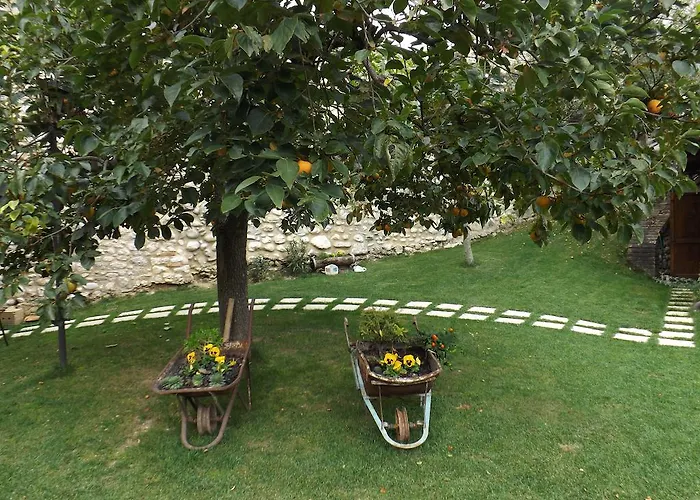 Guest house San Giovanni Ad Insulam