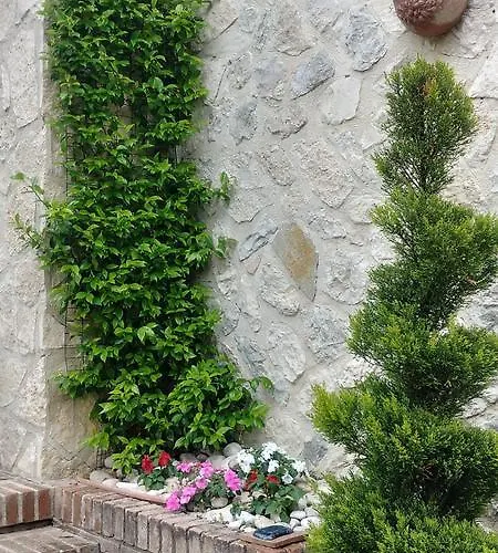 San Giovanni Ad Insulam Pensionat 3*