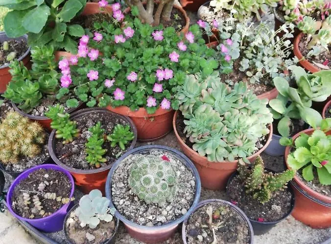 San Giovanni Ad Insulam 3* Isola del Gran Sasso d'Italia