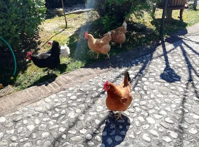 San Giovanni Ad Insulam